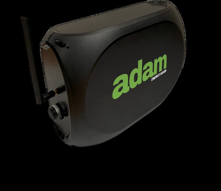 adam